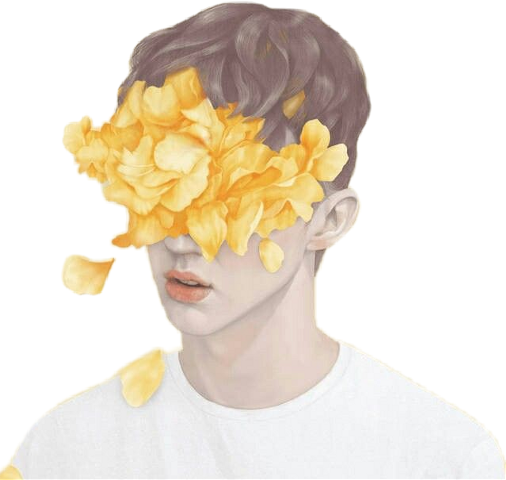Troye Sivan Wild Cover (506x480), Png Download