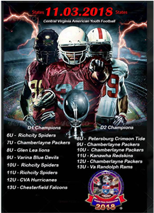 2018 Conference Champions - No Bathroom Breaks In The Nfl: (500x300), Png Download