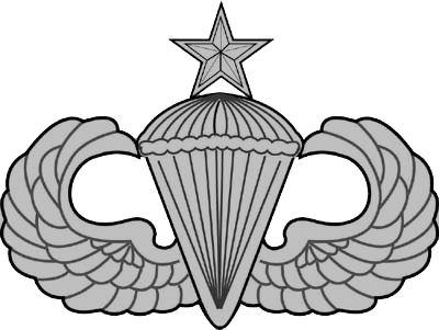 Jump Wings Usaf Usa Senior - Happy National Airborne Day (400x301), Png Download