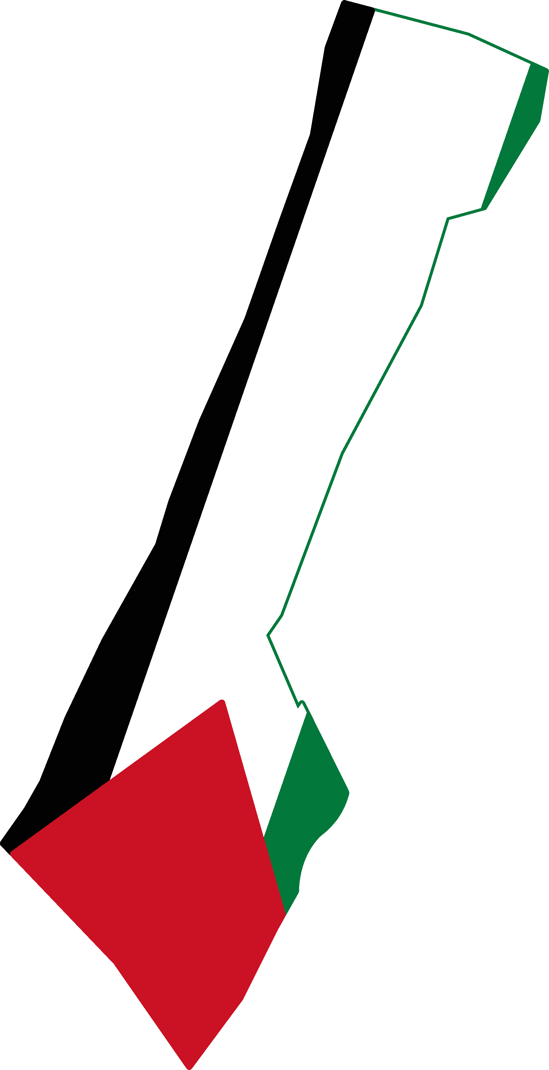Flag Map Of Gaza Strip - Gaza Strip Flag Map (1861x3625), Png Download