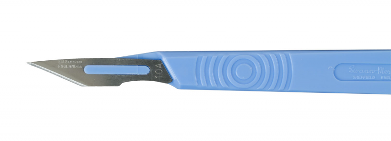 North America (800x800), Png Download