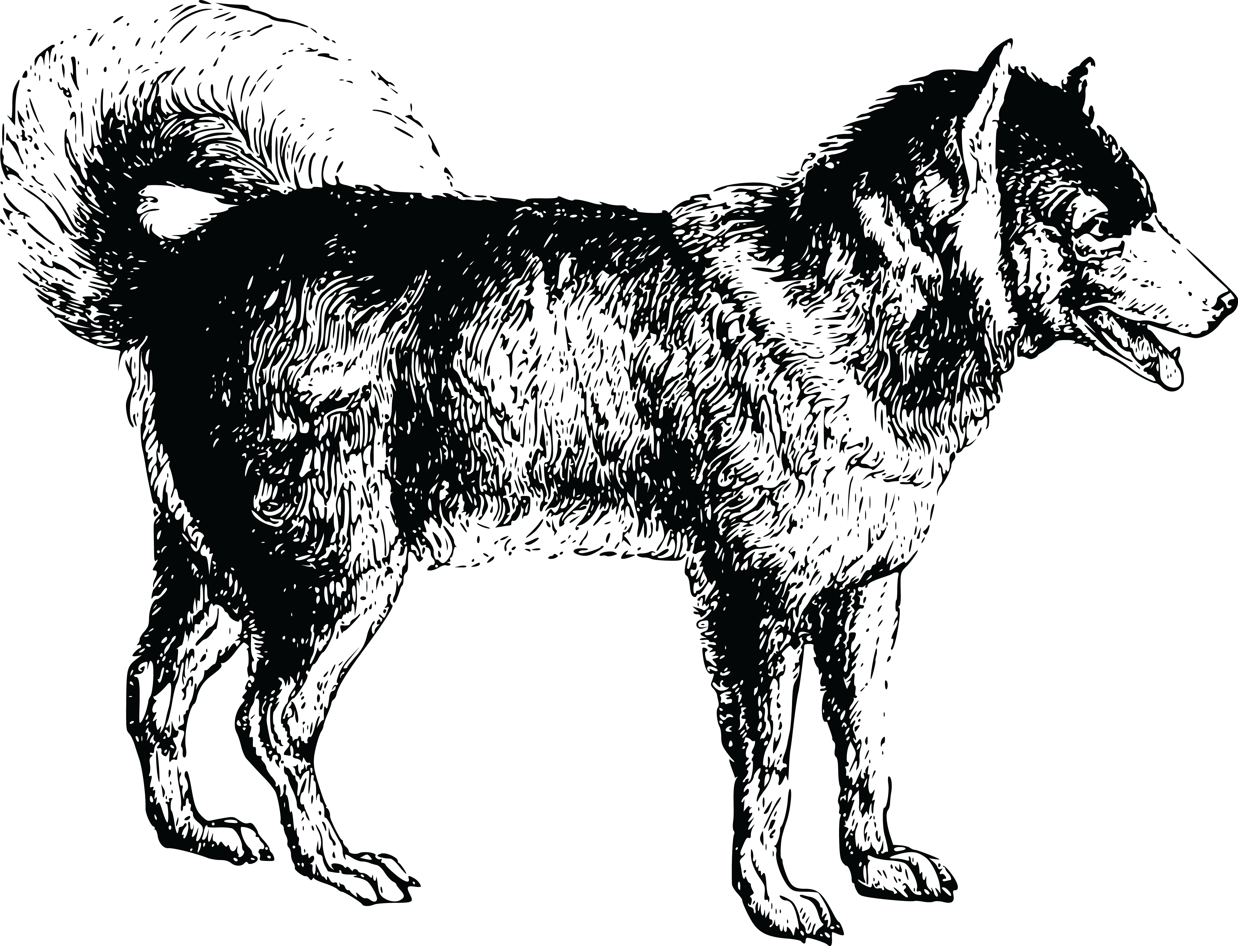 , , - Dog: Adults Coloring Book Vol.4: An Adult Coloring (4000x3058), Png Download