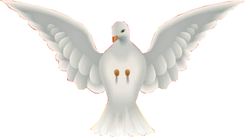 Pomba Espirito Santo Png - Pomba Do Espirito Santo (787x441), Png Download