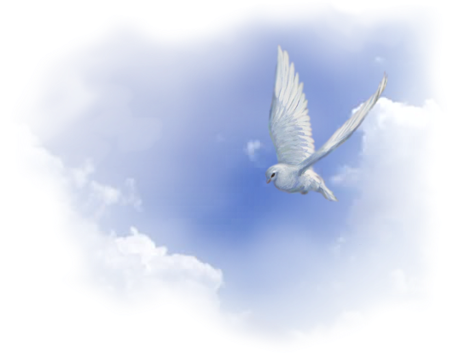 5- El Espíritu Santo - Espíritu Santo En Png (731x529), Png Download