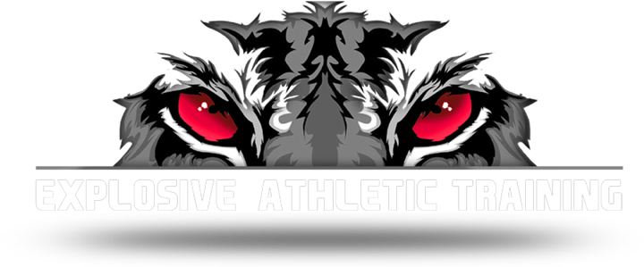 Explosive Athletic Training - Adventure Of The Bengal Tyger: The Napoleon Secret (800x355), Png Download