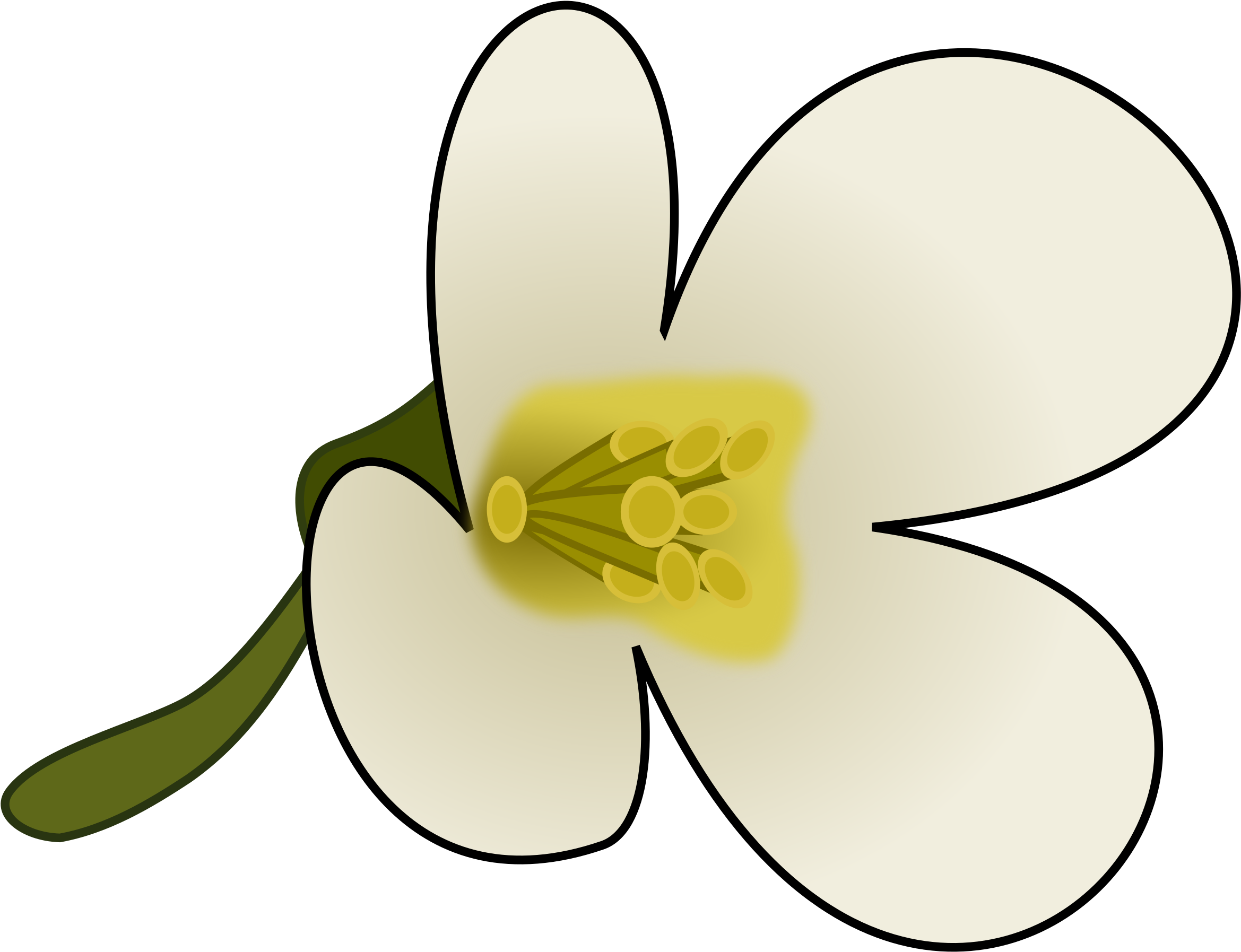 This Free Icons Png Design Of Thaliana Flower (2400x2400), Png Download