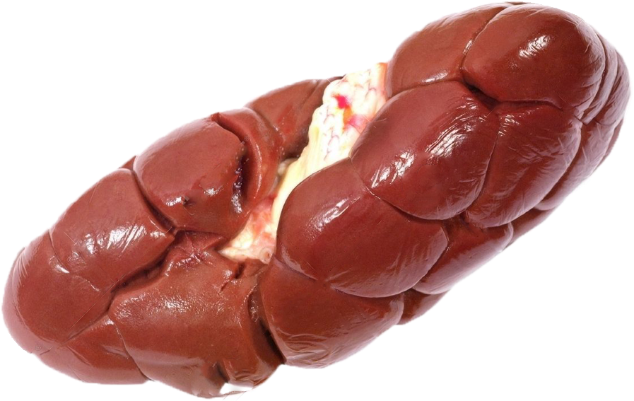 Kidney - Cow Kidney Png (1000x1000), Png Download