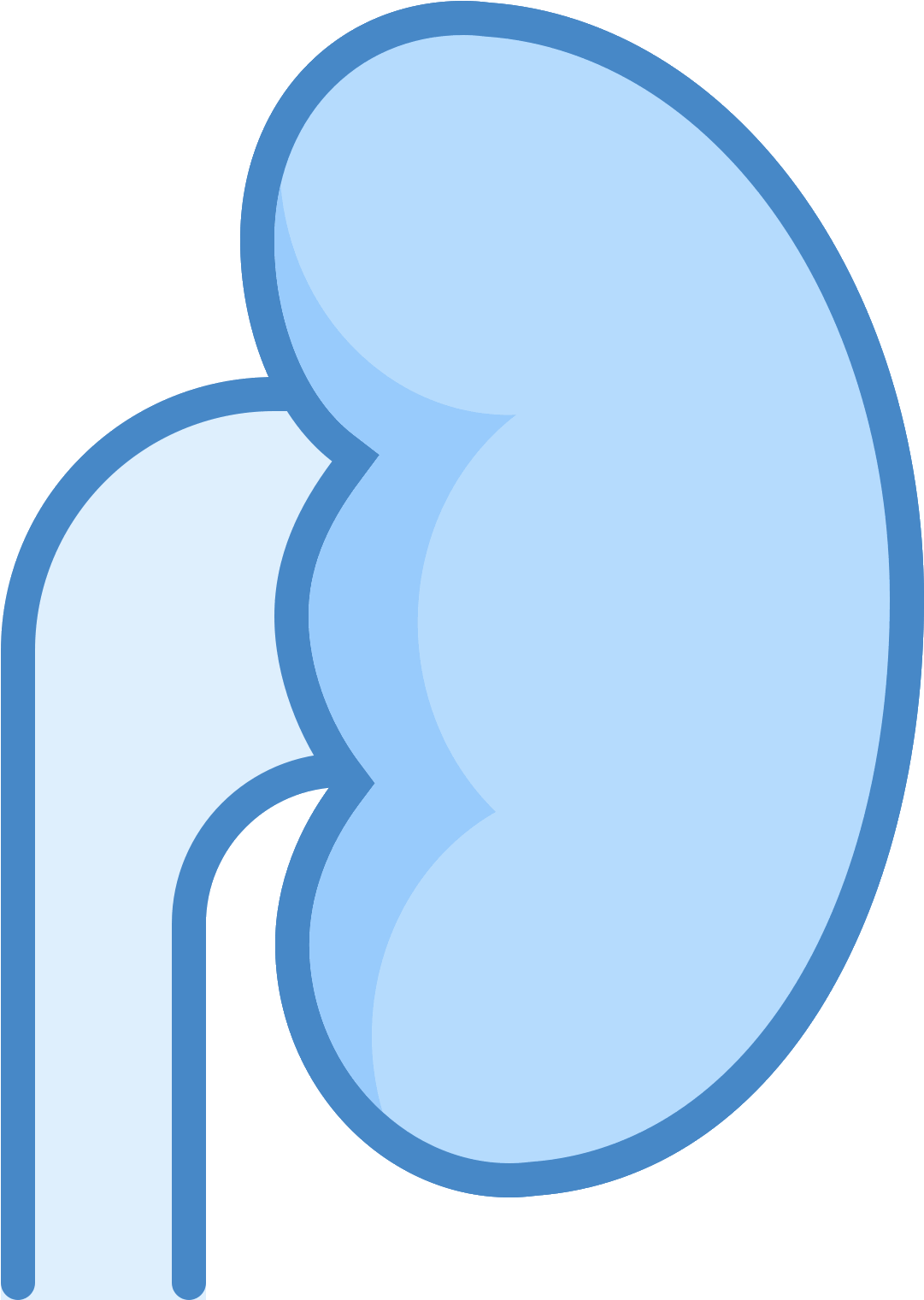 The Icon "kidney" Resembles In General Left Human Kidney - Kidney (1600x1600), Png Download