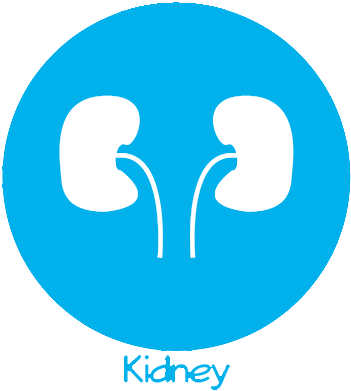 Fast Icon Blue Png (400x400), Png Download
