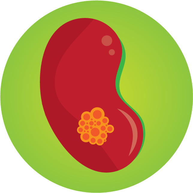 Kidney Injury - Circle (679x678), Png Download