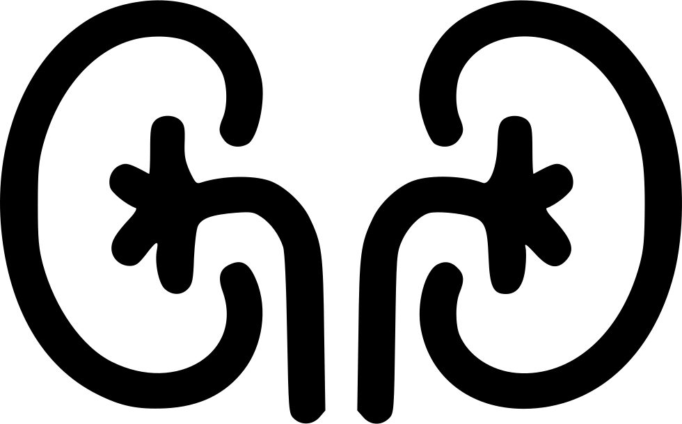 Kidney Comments - Kidney Icon Png (980x610), Png Download