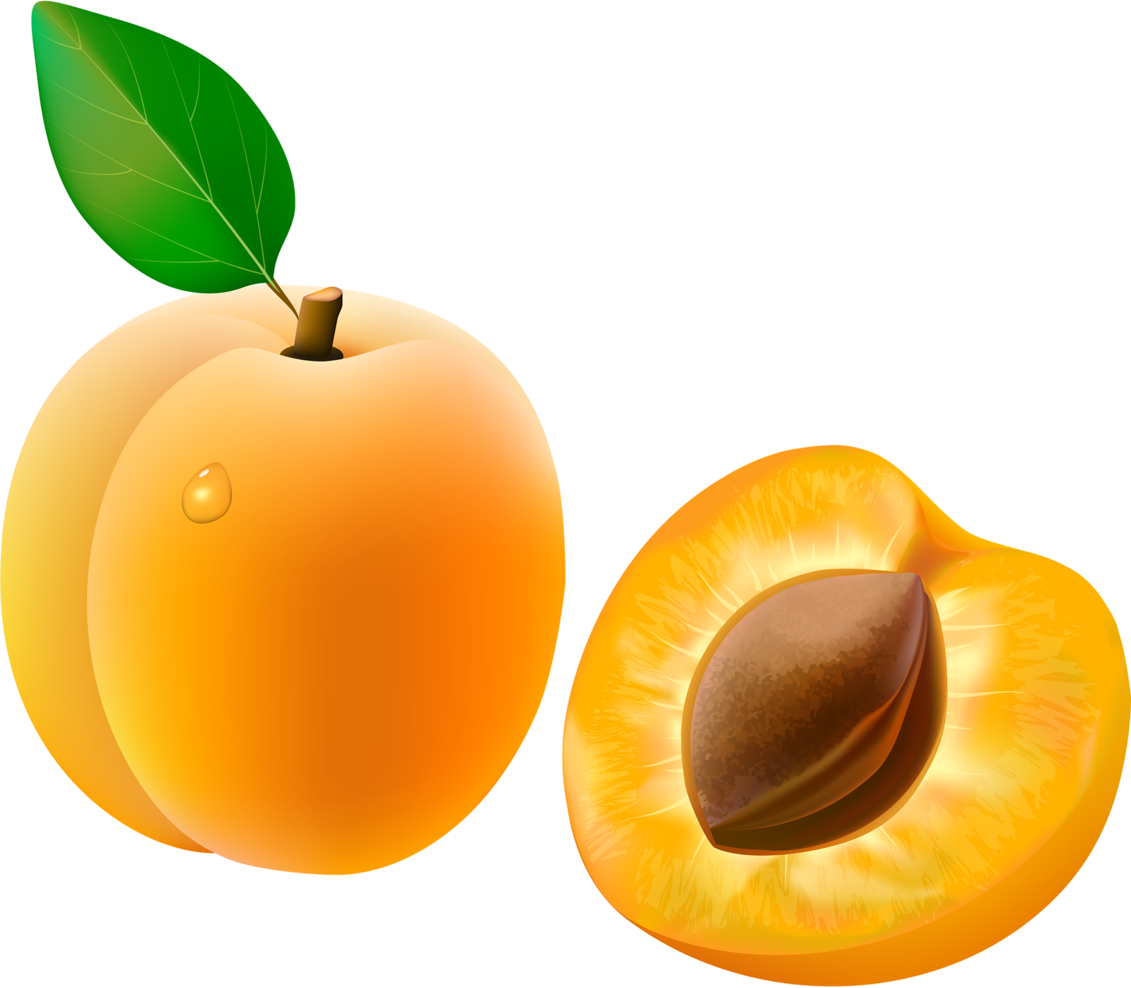 Italian Clipart European Food - Apricot Peach Clip Art (1600x1397), Png Download