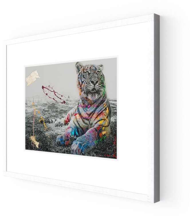 Photo Le Tigre - Photography (1000x751), Png Download