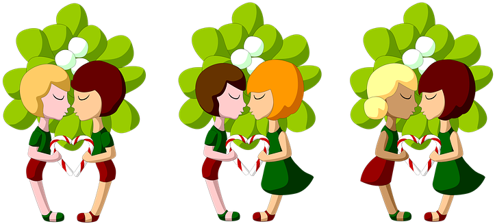 Mistletoe, Christmas, Kiss, New Year - Mistletoe (743x340), Png Download