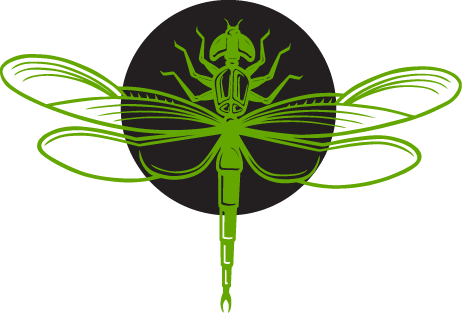 Dragonfly-alone (462x313), Png Download