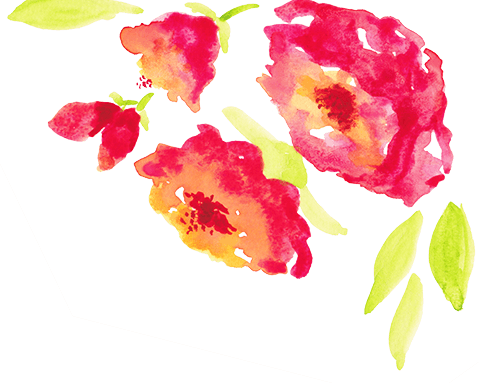 Header Flowers Bright - Rose (479x383), Png Download