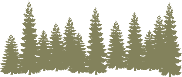 How To Set Use Light Green Forrest Clipart (600x253), Png Download