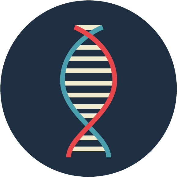 Kim Dna Icon-01 (594x594), Png Download