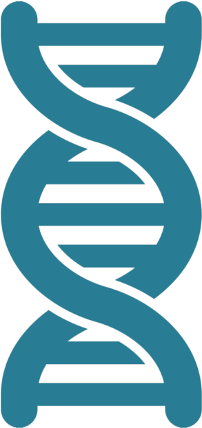 Biomedical Icon - Dna Clip Art (620x814), Png Download