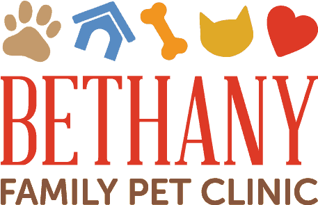 Bethany Family Pet Clinic - Between Two Worlds: How The English Became Americans (496x330), Png Download