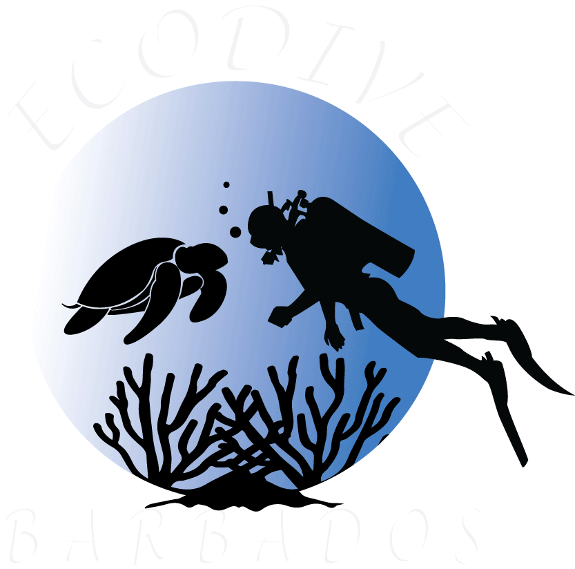 Home - Illustration (904x874), Png Download