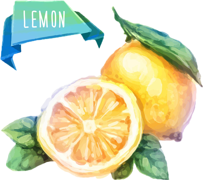 Watercolor Painting Fruit Drawing Illustration - Watercolor Fruits Vector (1000x1000), Png Download