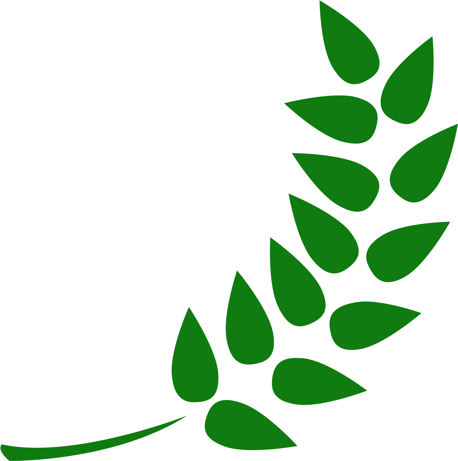 Png Transparent Icon Free Download Png And - Best Italian Beer 2017 (1600x1600), Png Download