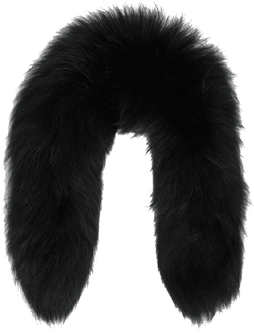 Newfur Trim - Black - Fur Black Png (534x785), Png Download