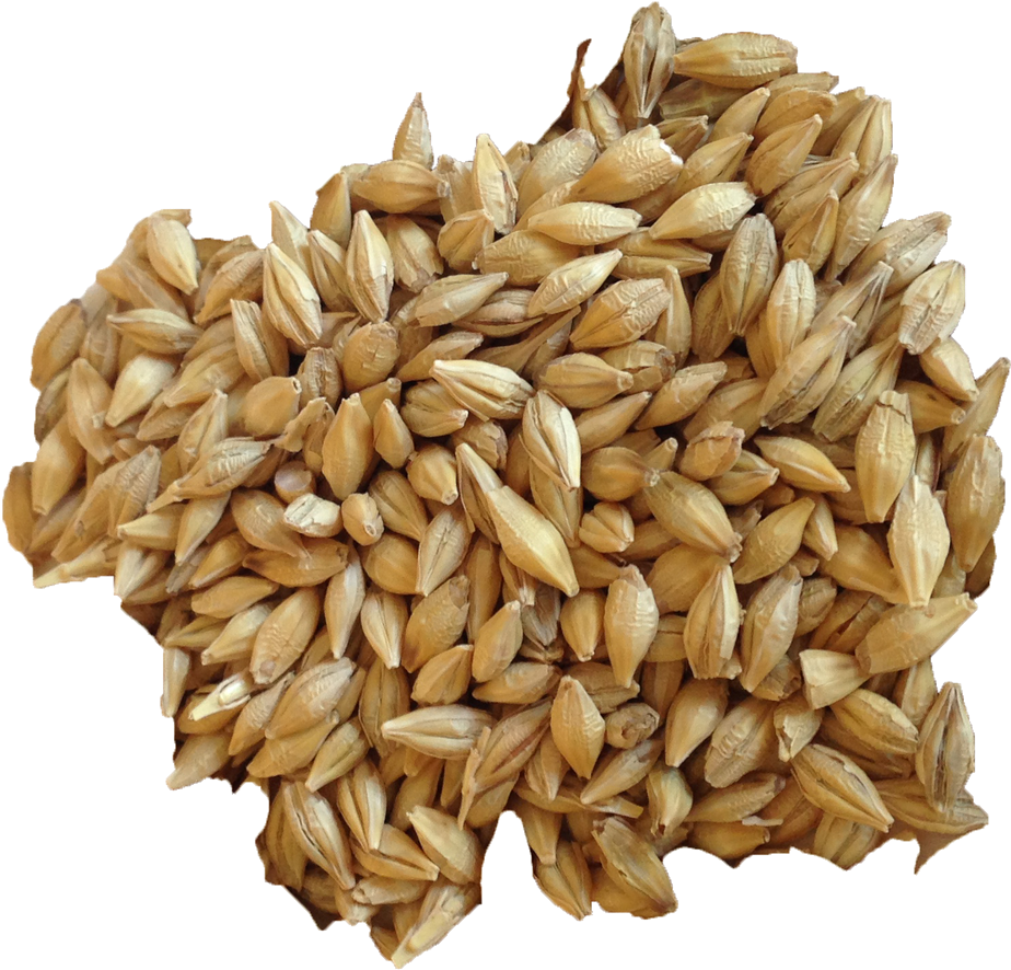Barley Transparent Background Png - Organic Barley (926x926), Png Download