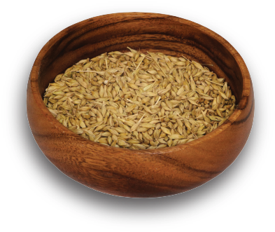 Whole Barley - Ottawa Valley Grain Products Inc. (400x338), Png Download