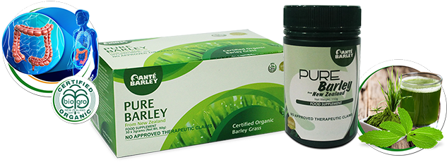 Sante Barley Prduct Description Image Header 1 - Z Natural Foods Barley Grass Powder - Organic 55 Lbs (700x233), Png Download