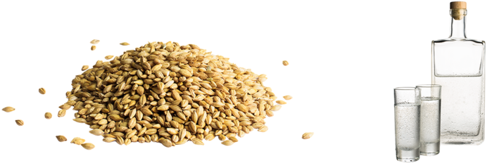 Barley Alcohol - Ohra N.v. (1150x250), Png Download