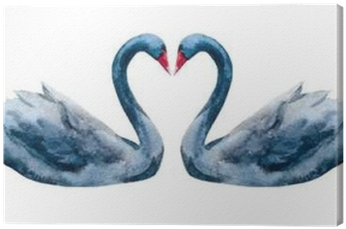 Cisne Aquarela (400x400), Png Download