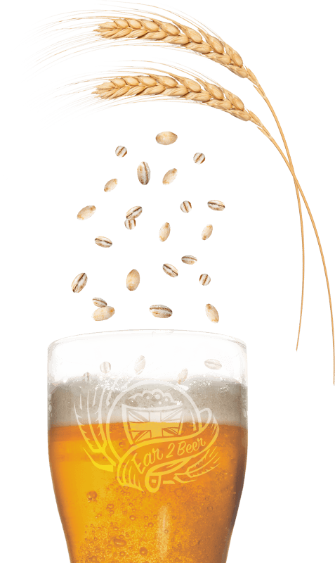 Calling All Malting Barley Growers Free Beer Enter - Beer Barley Png (477x800), Png Download