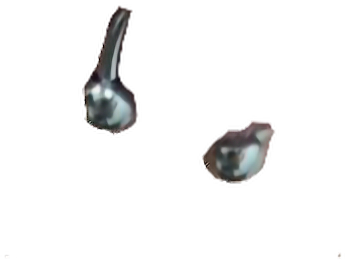 Piercing Piercings Septopiercing Septo Freetoedit - Piercing No Septo Png (716x676), Png Download