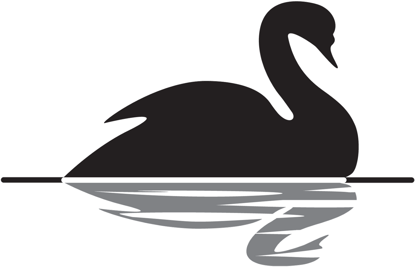 Image Black And White Library Swan Black And White - Black Swan Taleb (1600x1124), Png Download