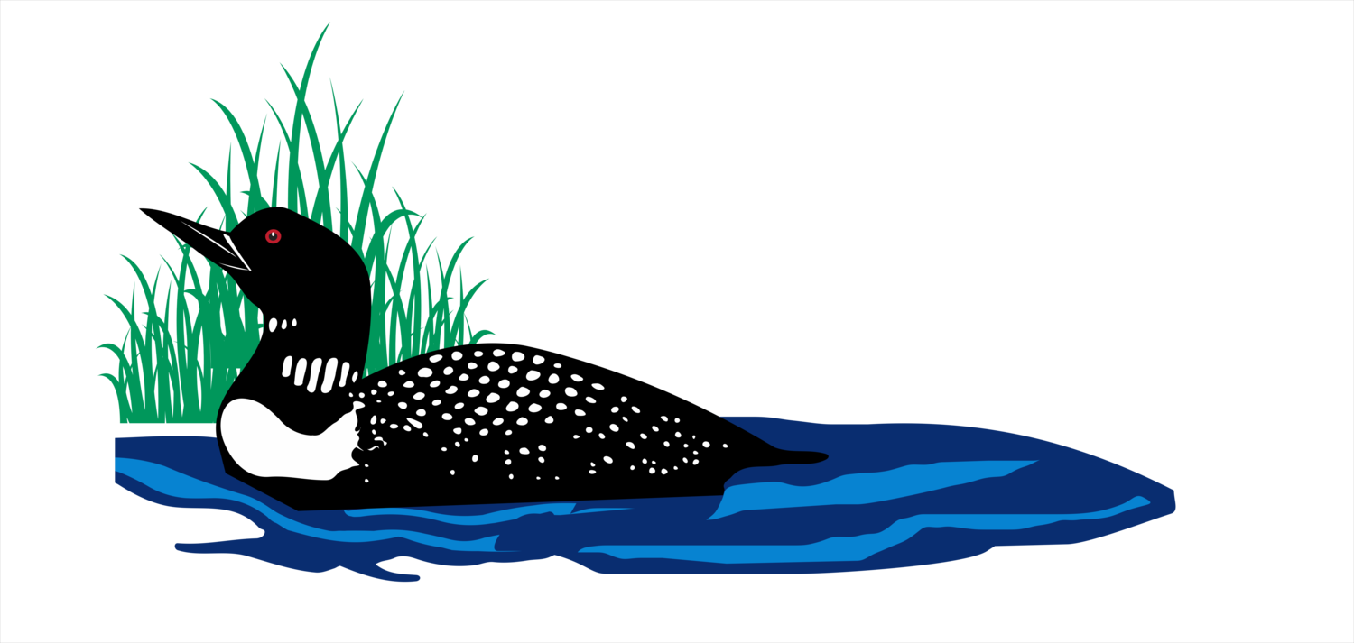 Lakefront Builders Of Maine Png Royalty Free Download - Loon Clipart (1500x713), Png Download