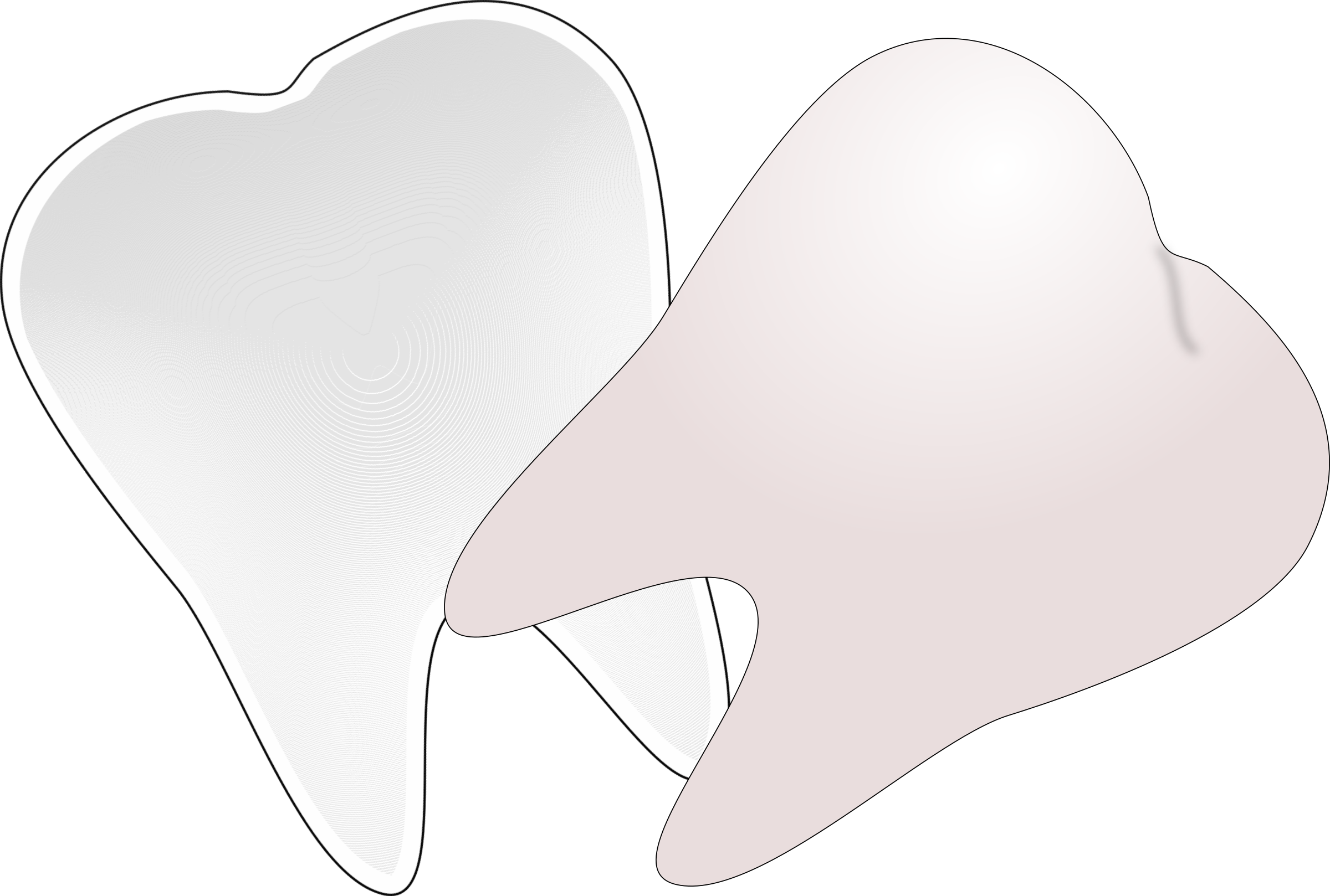 This Free Icons Png Design Of Tooth Cut In Half (2400x1618), Png Download
