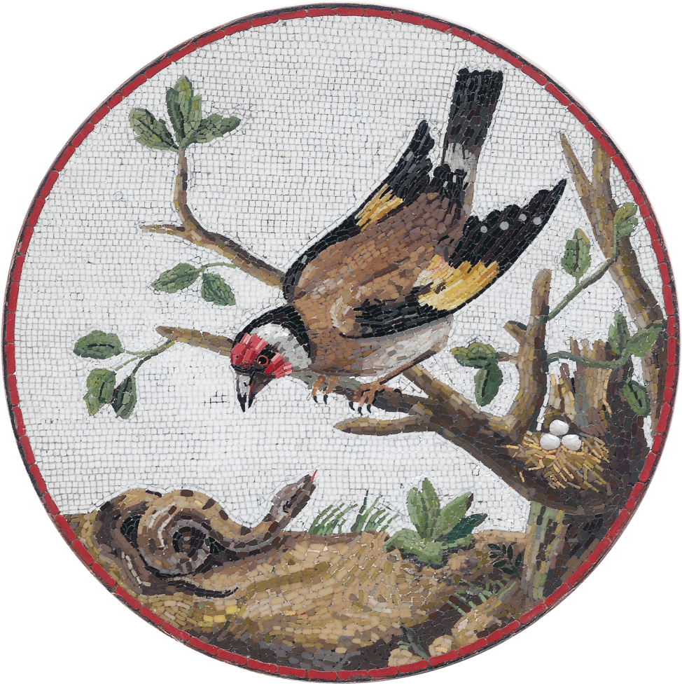 Goldfinch Defending It's Nest From A Snake Micromosaic (1000x994), Png Download