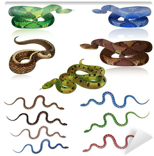 Snakes (400x400), Png Download