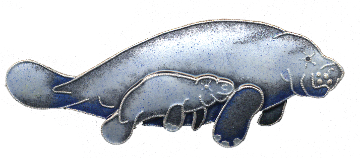 Manatee & Calf Pin (900x900), Png Download