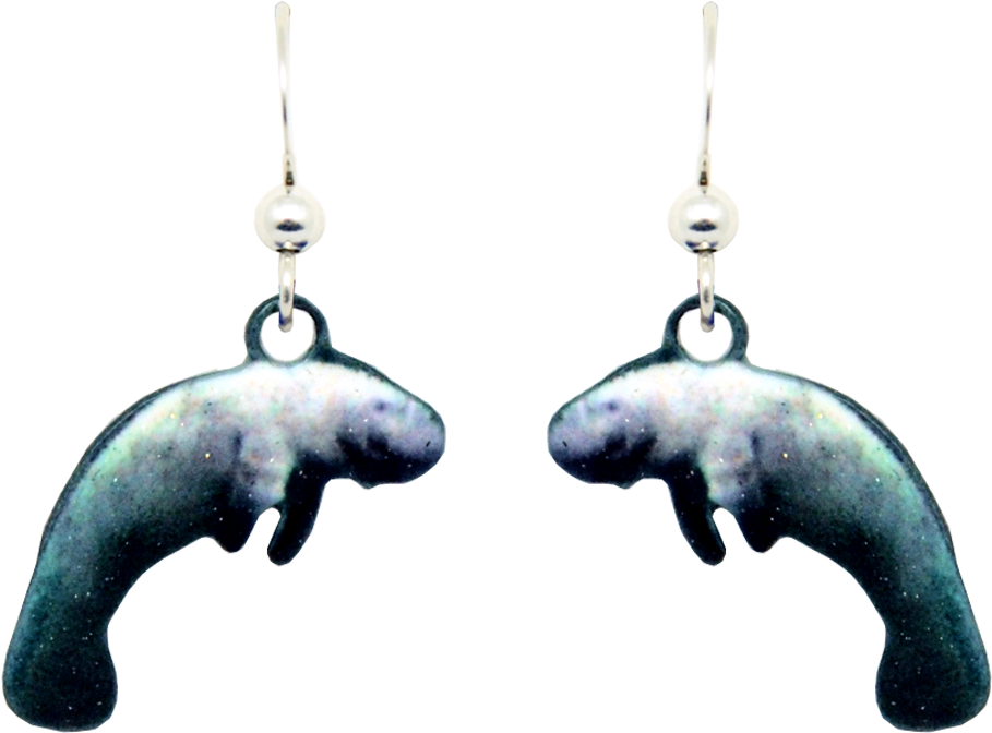 Manatee (1000x1000), Png Download