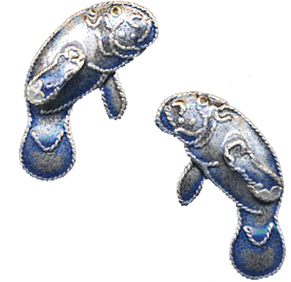 Manatee Posts (900x900), Png Download