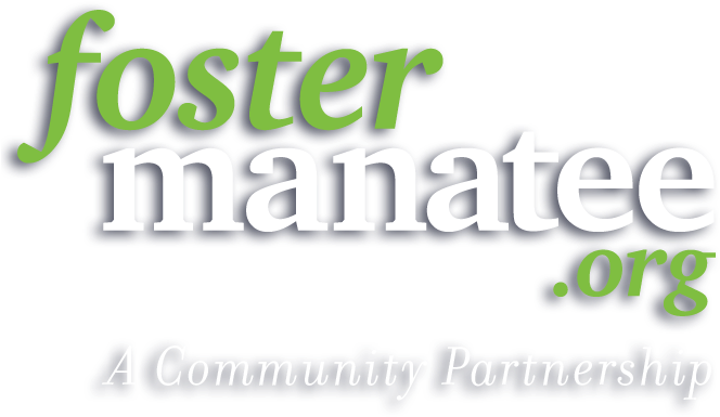 Logo (667x400), Png Download