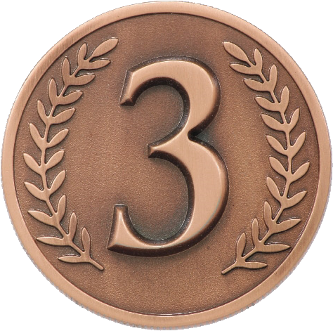 6/8 - - 3rd Place Bronze Medal (720x576), Png Download