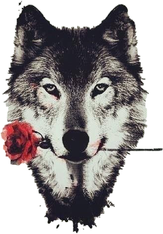Art Wolf Rose Tumblr Teen Wolf Freetoedit - Wolf - Wild Nature Animals Art 24x18 Poster Decor (330x473), Png Download