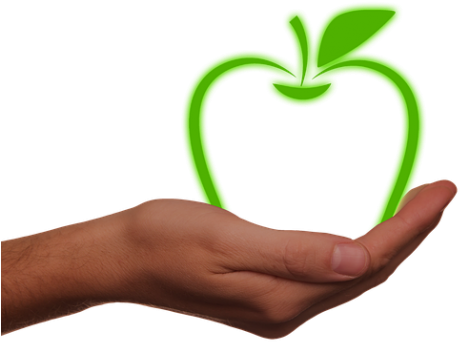 California Green Ribbon Schools Award Winners Announced - Apple Environment (610x406), Png Download