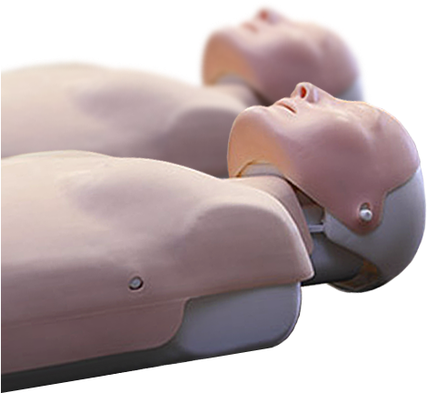 This Unit Of Competency Describes The Skills And Knowledge - First Aid Dummies (600x450), Png Download
