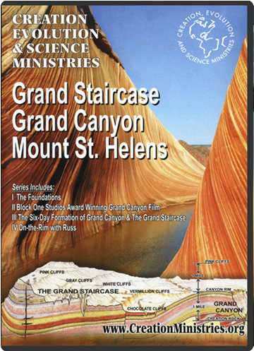 Previous - Next - Flyer (500x500), Png Download