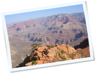 Mule Assisted Grand Canyon Classic - Grand Canyon (405x311), Png Download